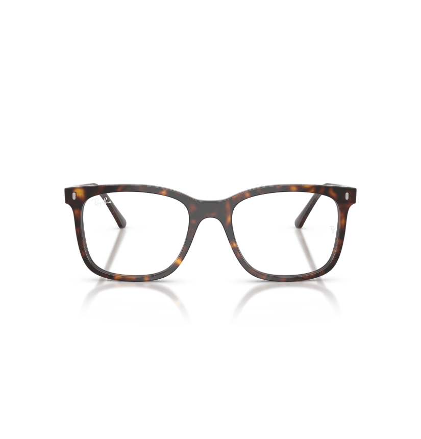 RAY-BAN  - RX5446 - 2012 - 53