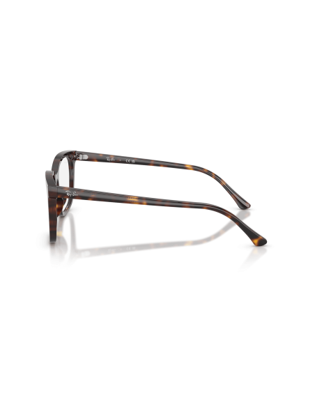 RAY-BAN  - RX5446 - 2012 - 53