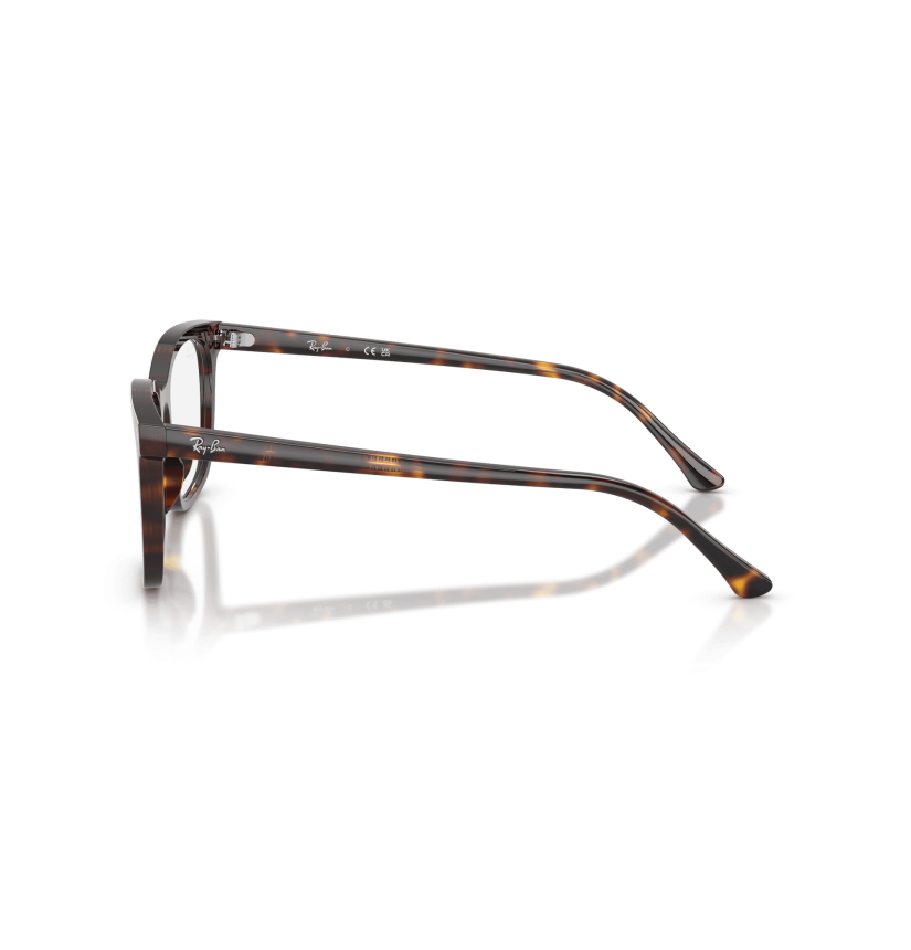RAY-BAN  - RX5446 - 2012 - 53
