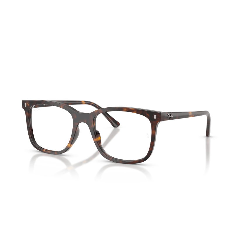 RAY-BAN  - RX5446 - 2012 - 53