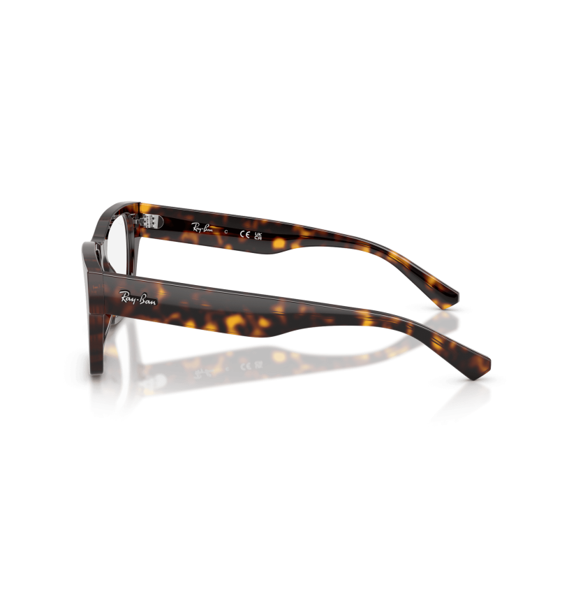 RAY-BAN  - RX5448 - 2012 - 55