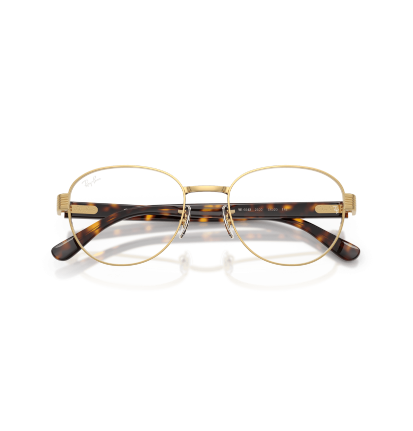 RAY-BAN  - RX6543 - 2500 - 54