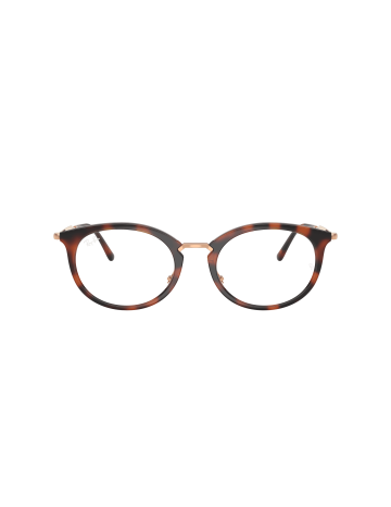 RAY-BAN  - RX7255 - 5687 - 53 2