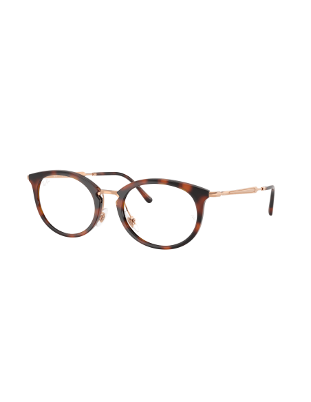 RAY-BAN  - RX7255 - 5687 - 53