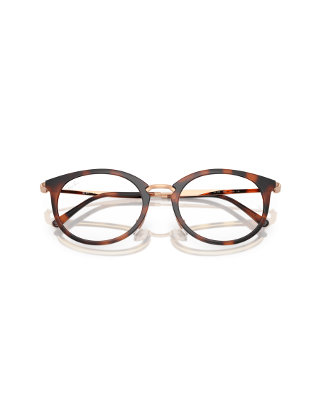 RAY-BAN  - RX7255 - 5687 - 53