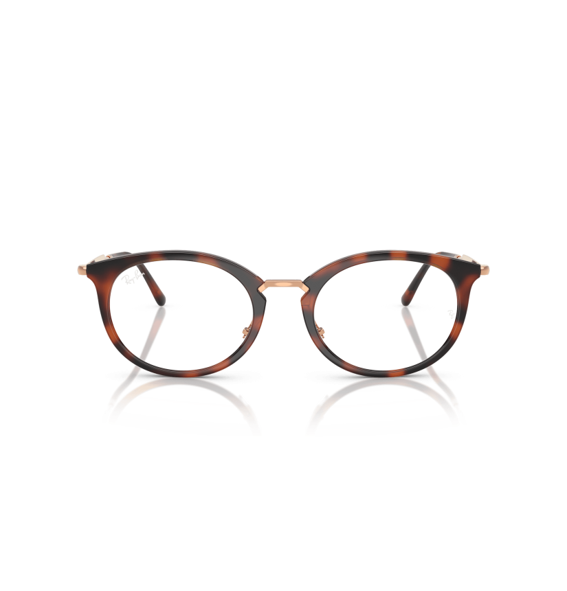 RAY-BAN  - RX7255 - 5687 - 53