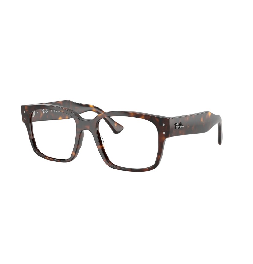 RAY-BAN  - LAURENE - RX7256 - 8320 - 53