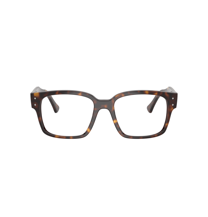 RAY-BAN  - LAURENE - RX7256 - 8320 - 53