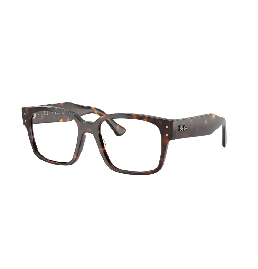 RAY-BAN  - LAURENE - RX7256 - 8320 - 53