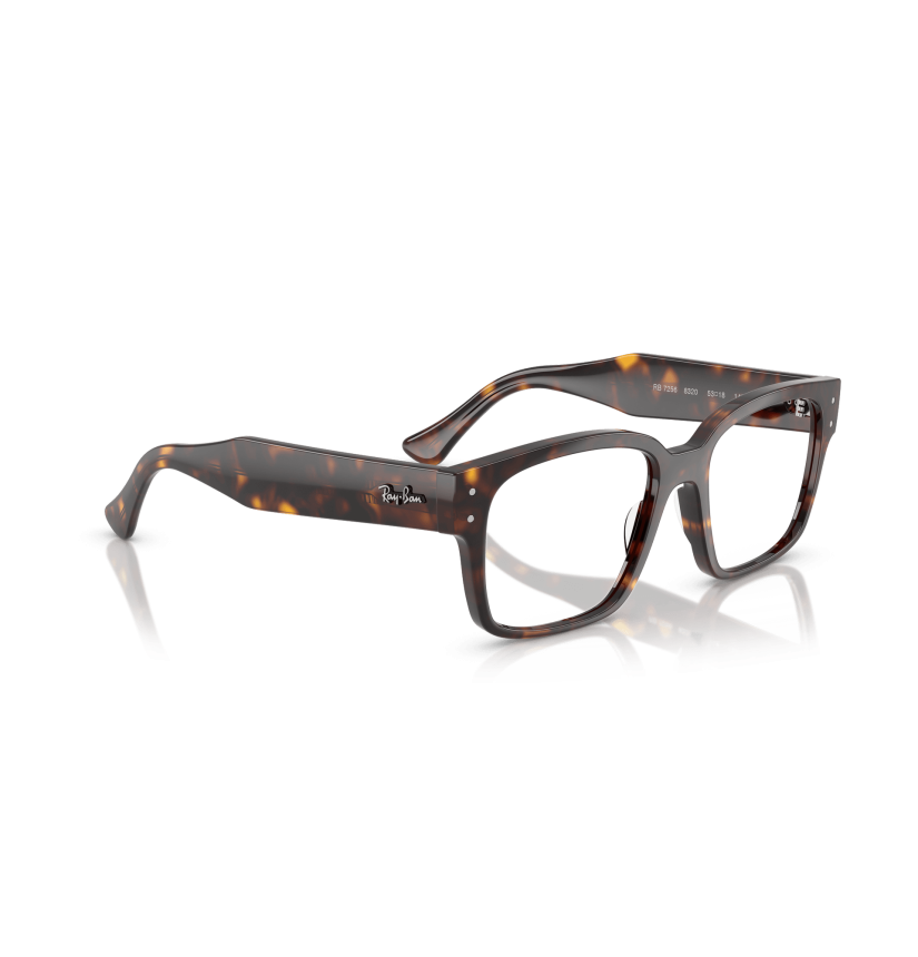 RAY-BAN  - LAURENE - RX7256 - 8320 - 53