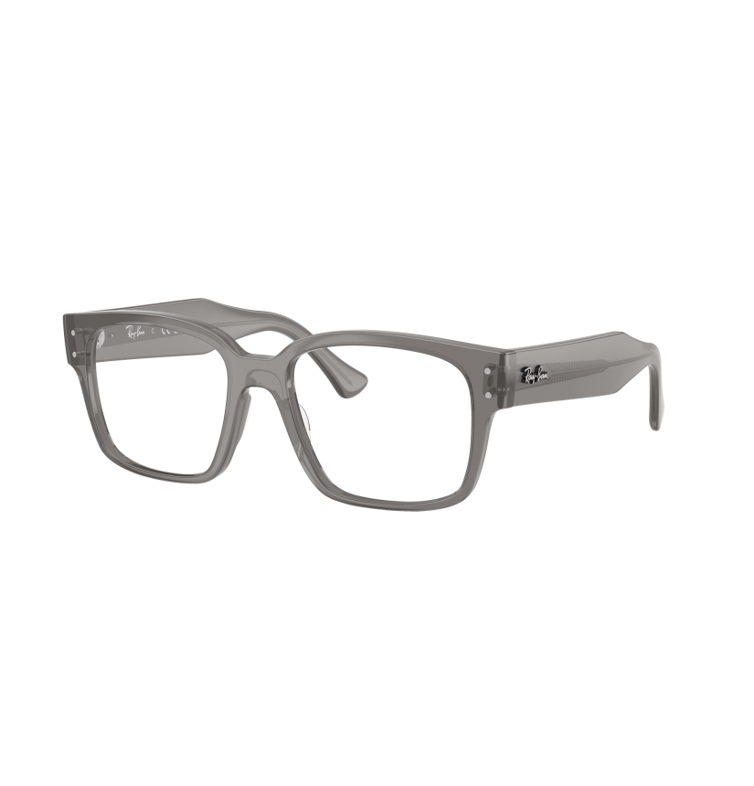 RAY-BAN  - LAURENE - RX7256 - 8431 - 53
