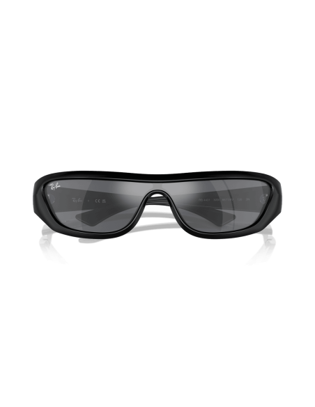 0RB4431__66776V__P21__shad__cfr