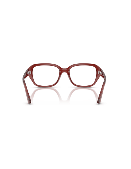 RAY-BAN  - SHEA - RX7258 - 8436 - 53