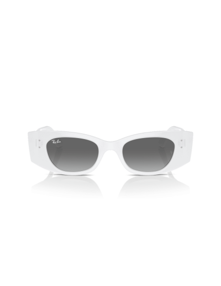 0RB4427__675911__P21__shad__fr