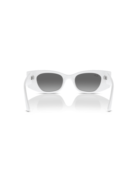 0RB4427__675911__P21__shad__bk