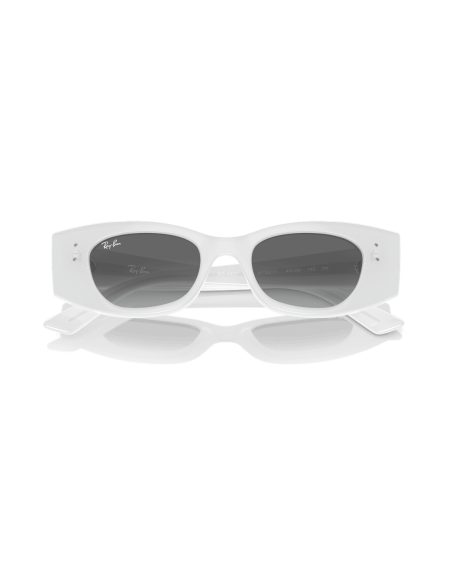 0RB4427__675911__P21__shad__cfr