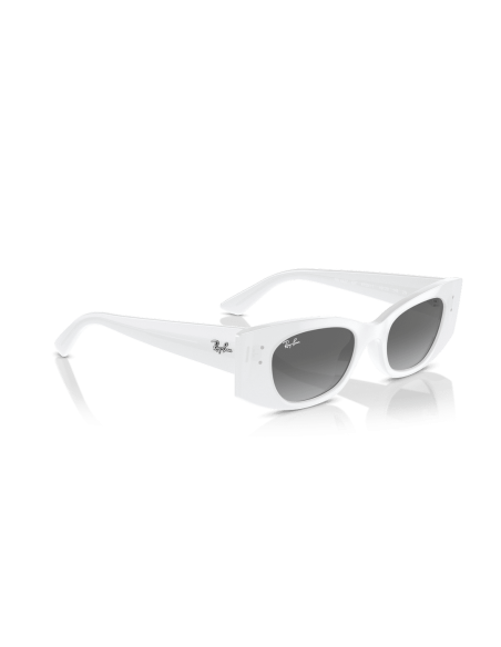 0RB4427__675911__P21__shad__al2