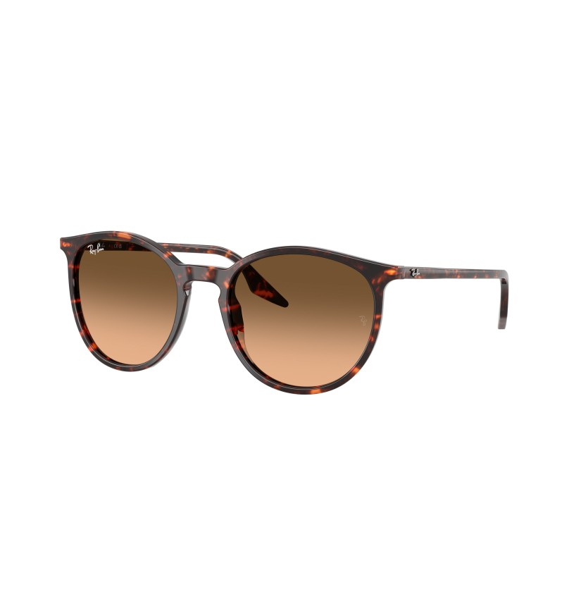 RAY-BAN - RB2204 - 14293B - 54
