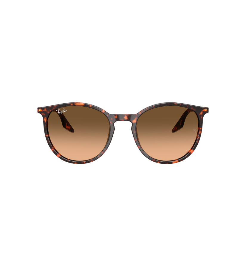 RAY-BAN - RB2204 - 14293B - 54