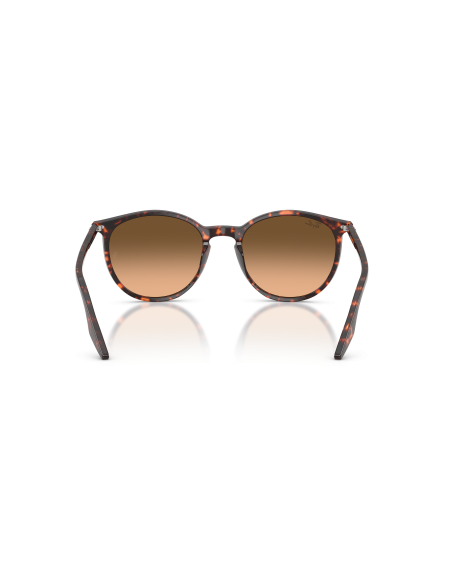 RAY-BAN - RB2204 - 14293B - 54