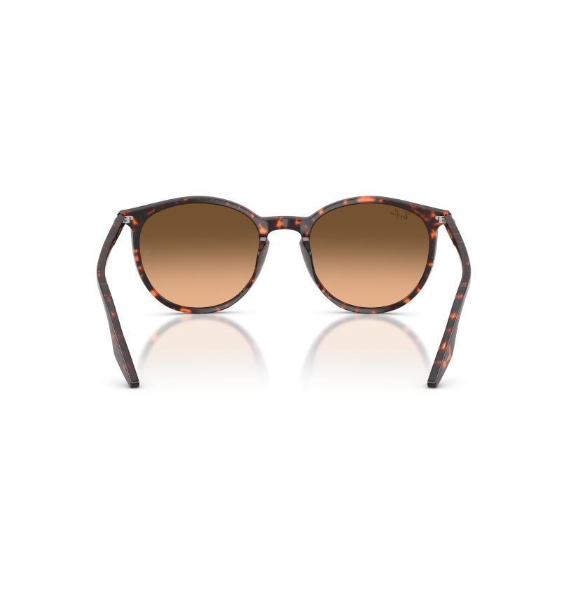 RAY-BAN - RB2204 - 14293B - 54