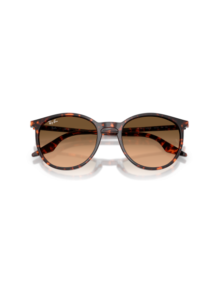 RAY-BAN - RB2204 - 14293B - 54