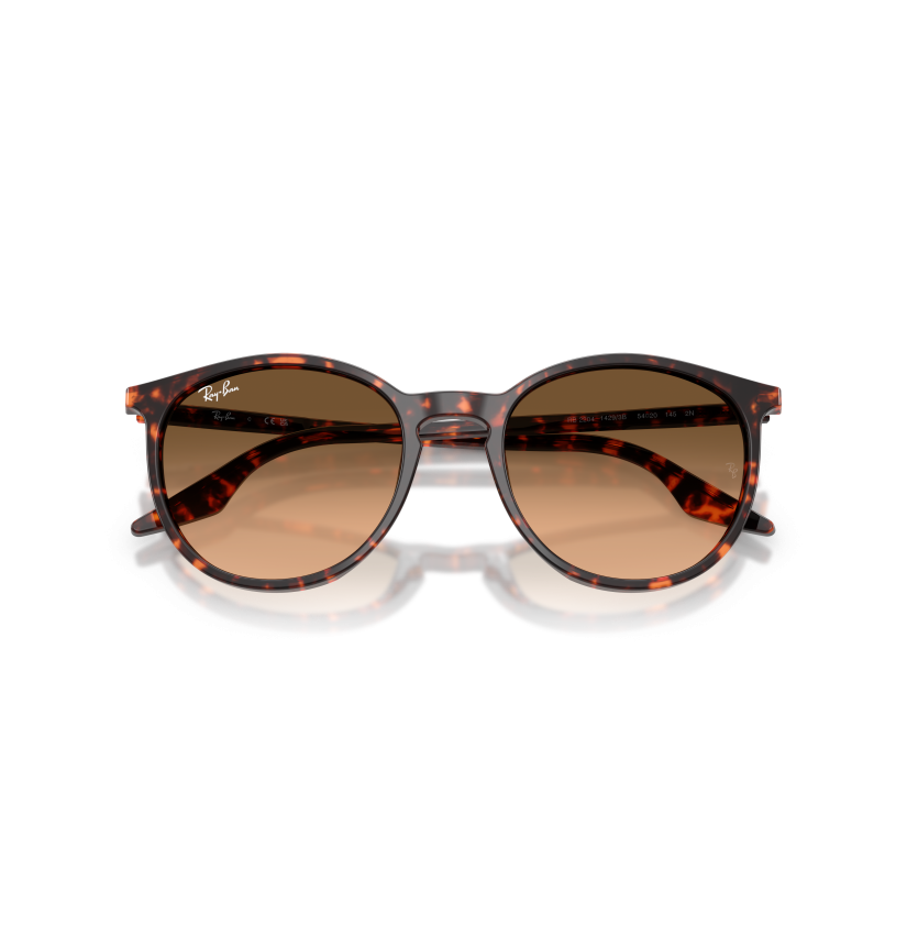 RAY-BAN - RB2204 - 14293B - 54