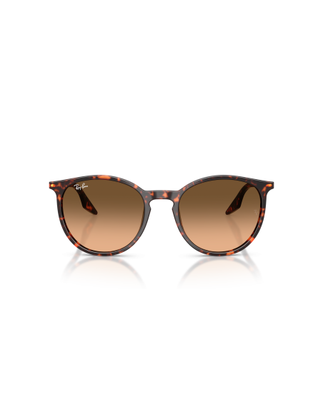 RAY-BAN - RB2204 - 14293B - 54