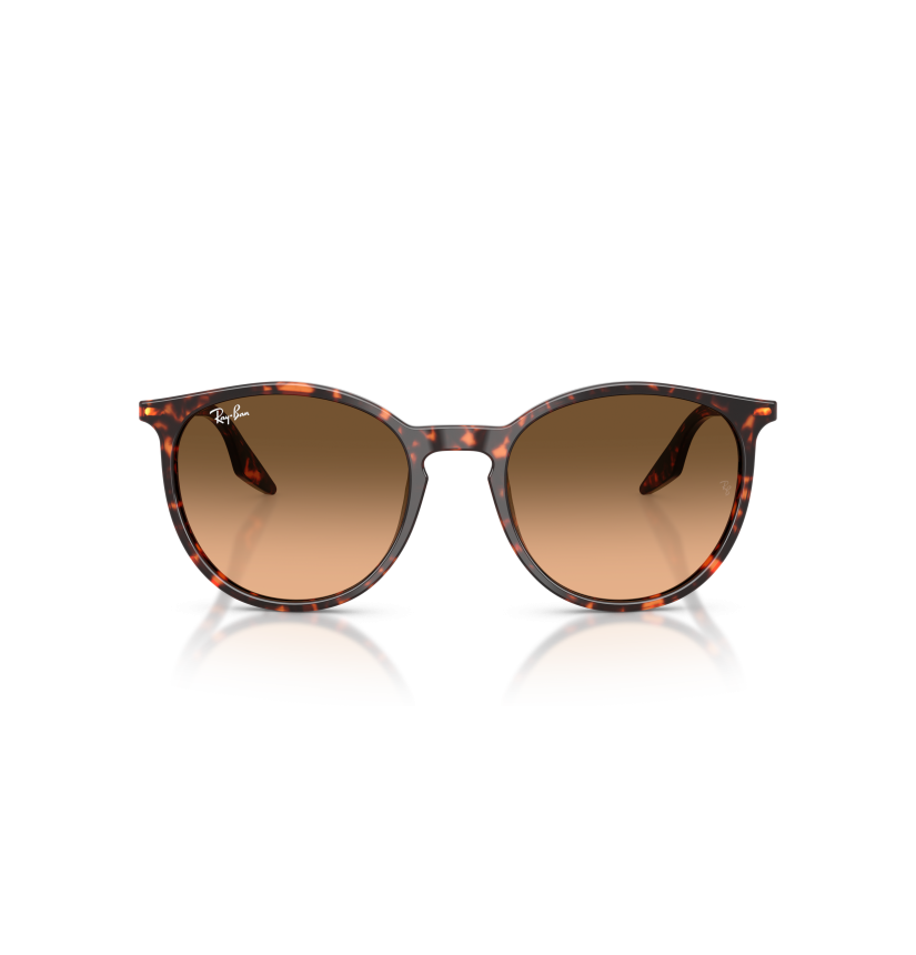RAY-BAN - RB2204 - 14293B - 54