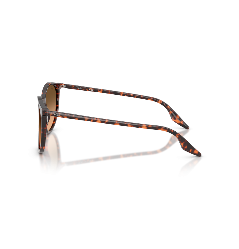 RAY-BAN - RB2204 - 14293B - 54