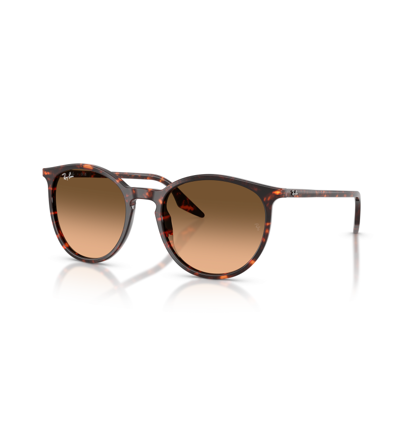 RAY-BAN - RB2204 - 14293B - 54