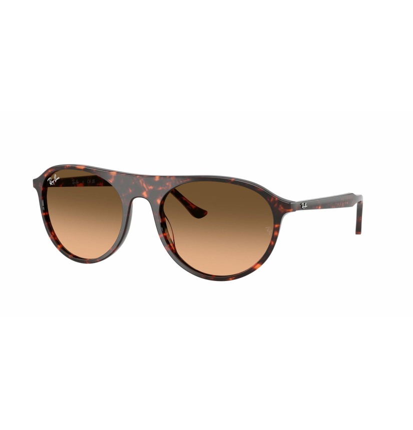 RAY-BAN - RB2215 - 14293B - 59