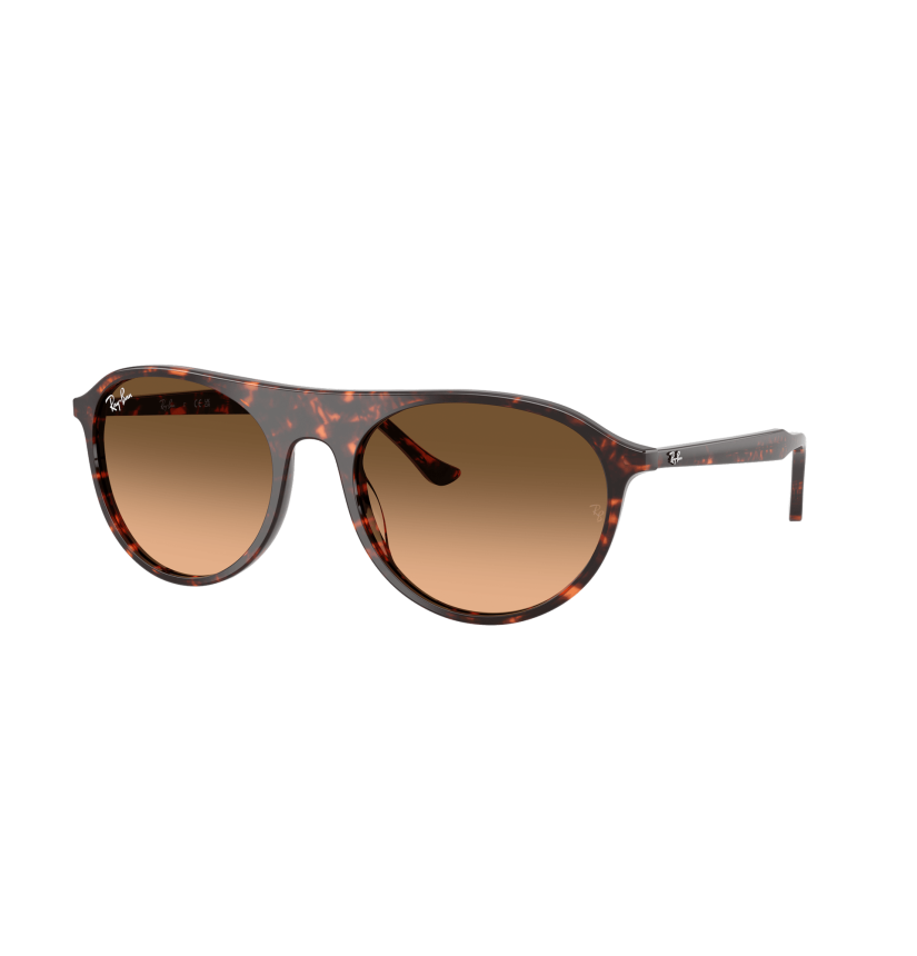 RAY-BAN - RB2215 - 14293B - 59