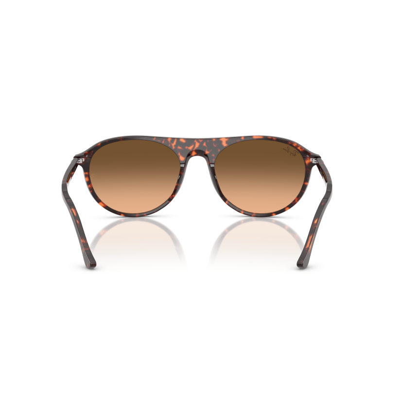 RAY-BAN - RB2215 - 14293B - 59
