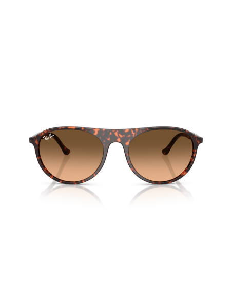 RAY-BAN - RB2215 - 14293B - 59