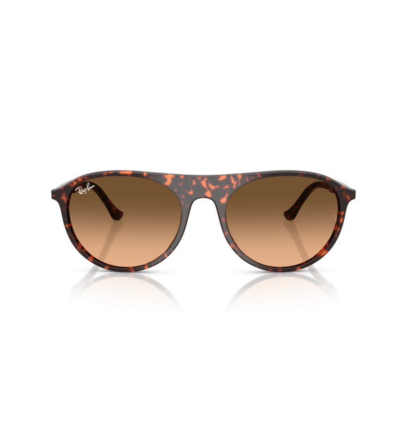 RAY-BAN - RB2215 - 14293B - 59
