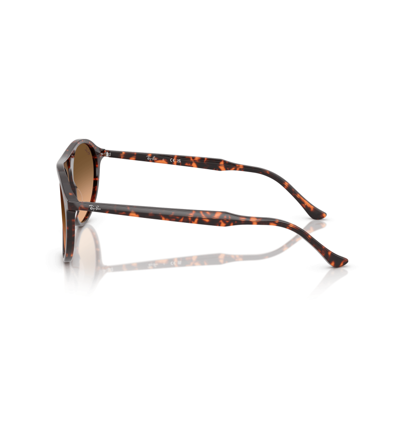 RAY-BAN - RB2215 - 14293B - 59