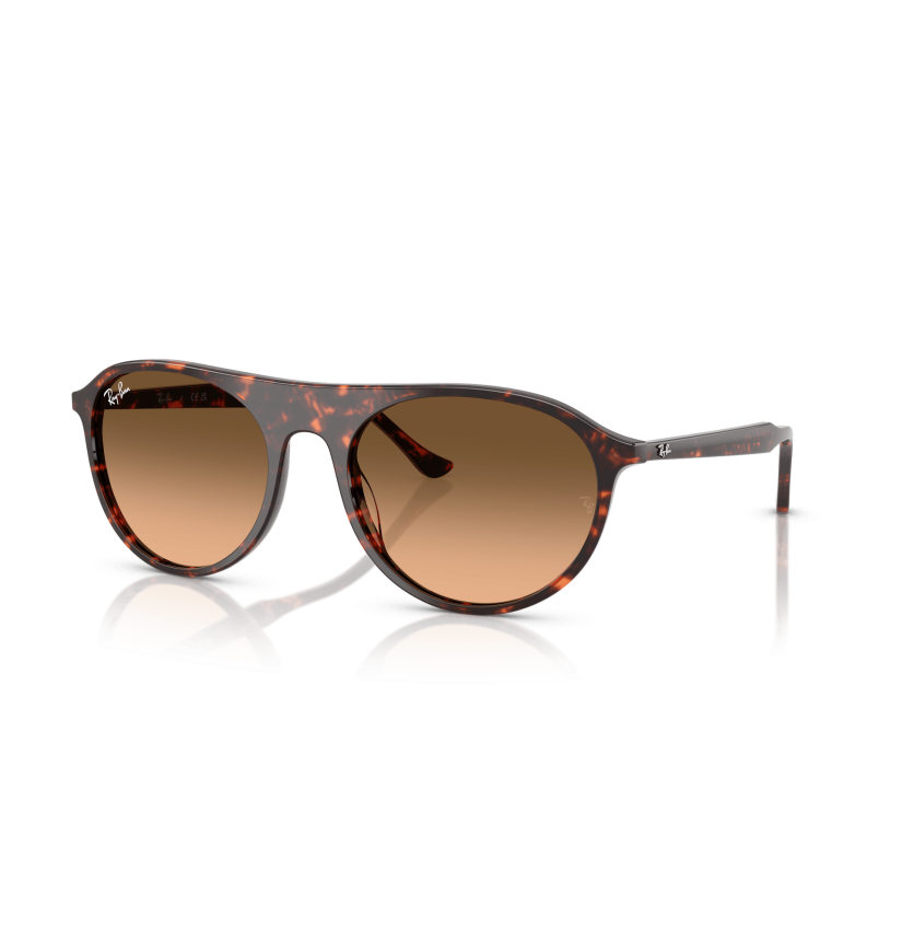 RAY-BAN - RB2215 - 14293B - 59