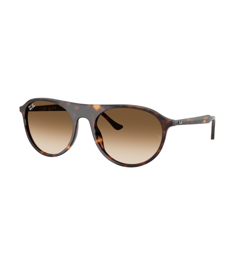 RAY-BAN - RB2215 - 902/51 - 59