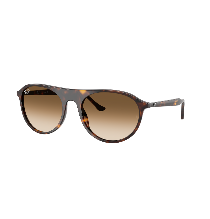 RAY-BAN - RB2215 - 902/51 - 59