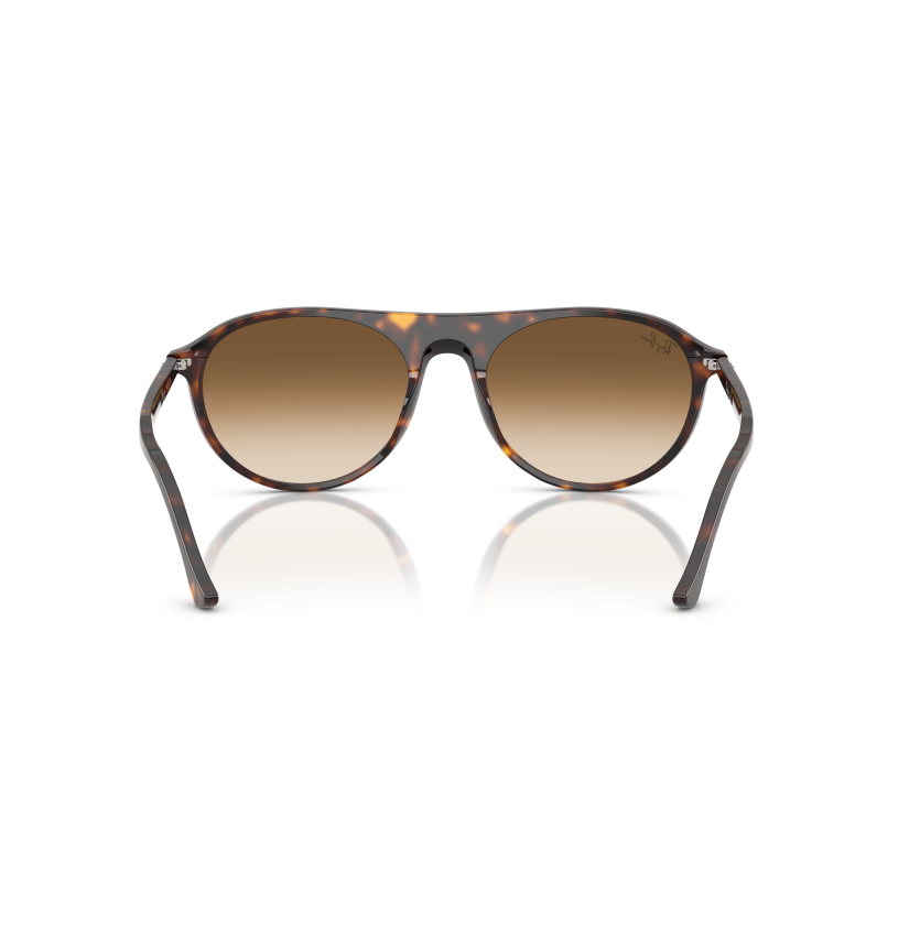 RAY-BAN - RB2215 - 902/51 - 59