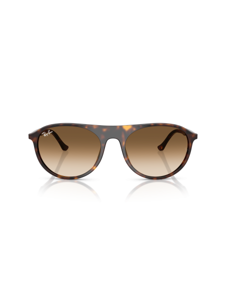 RAY-BAN - RB2215 - 902/51 - 59