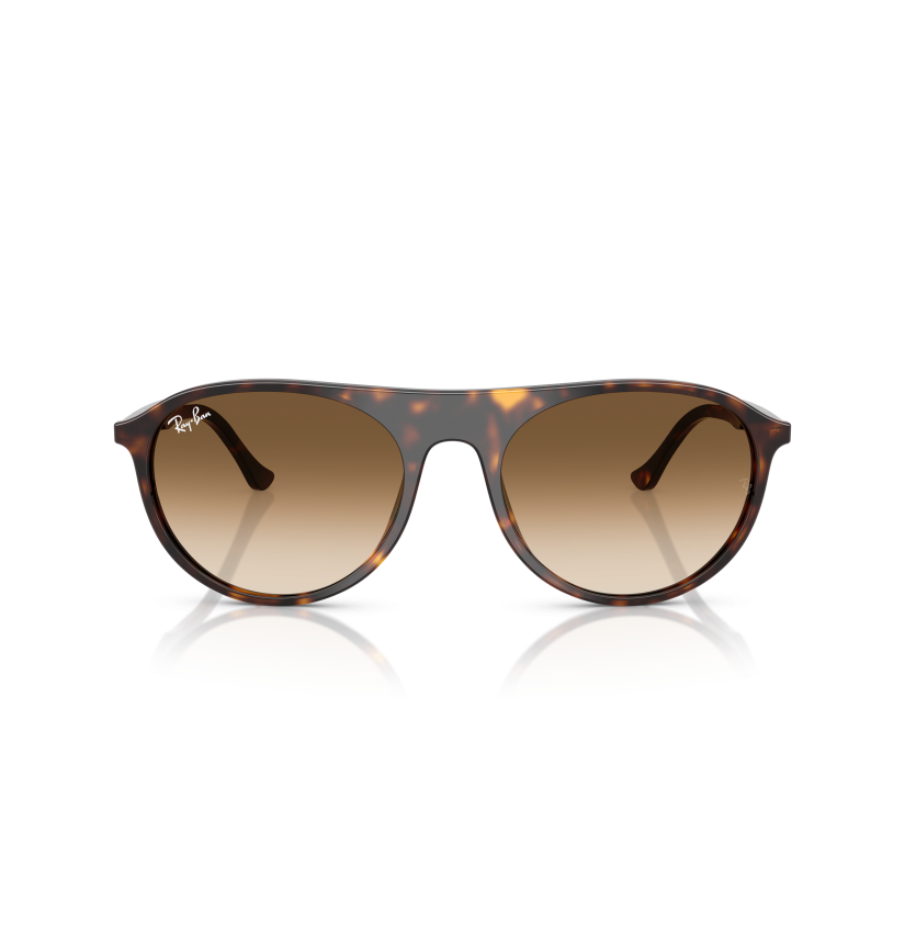RAY-BAN - RB2215 - 902/51 - 59