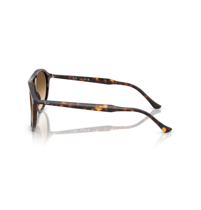 RAY-BAN - RB2215 - 902/51 - 59