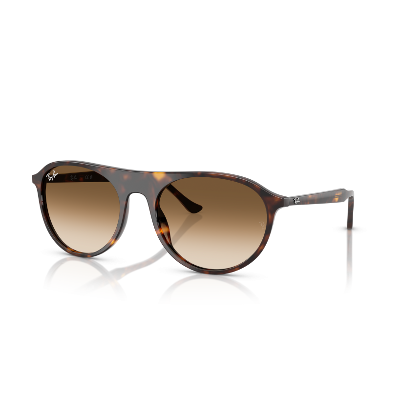 RAY-BAN - RB2215 - 902/51 - 59