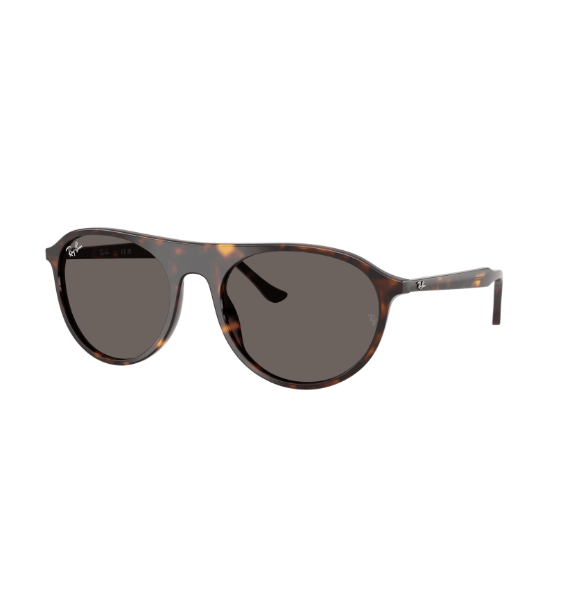 RAY-BAN - RB2215 - 902/B1 - 59