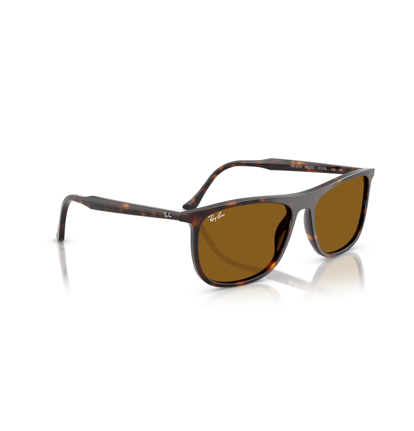 RAY-BAN - RB2216 - 902/33 - 61
