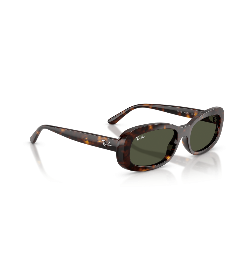RAY-BAN - RB2221 - 902/31 - 56