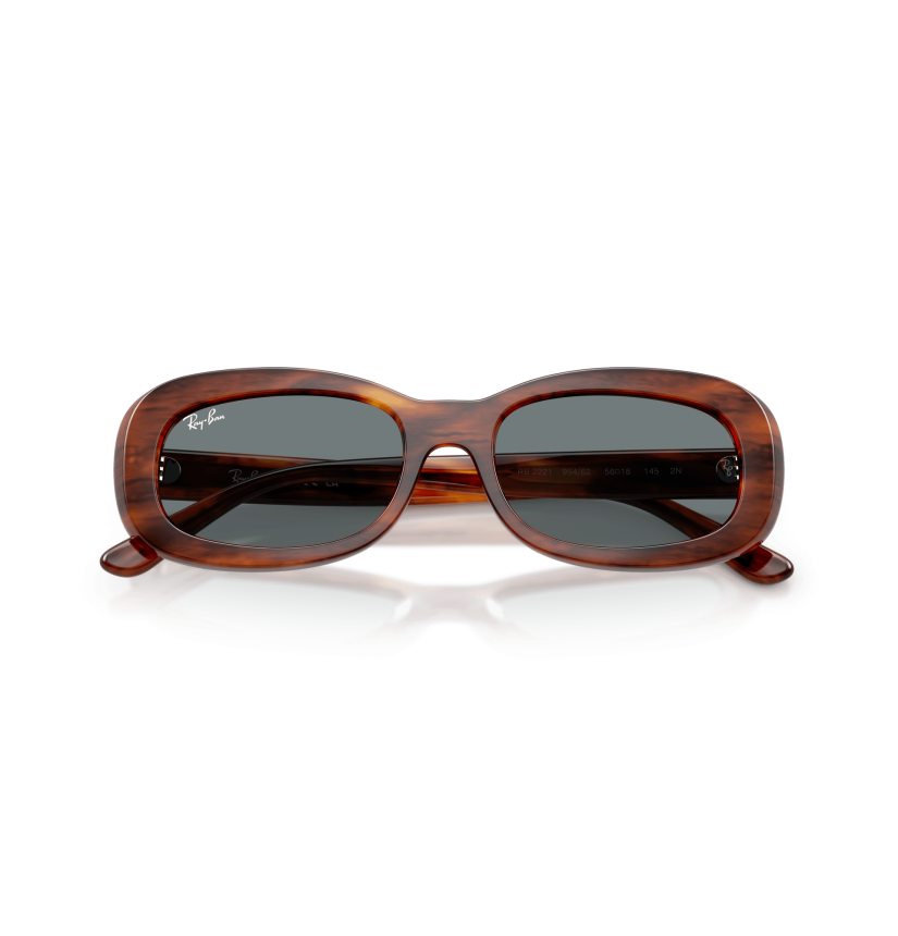 RAY-BAN - RB2221 - 954/62 - 56