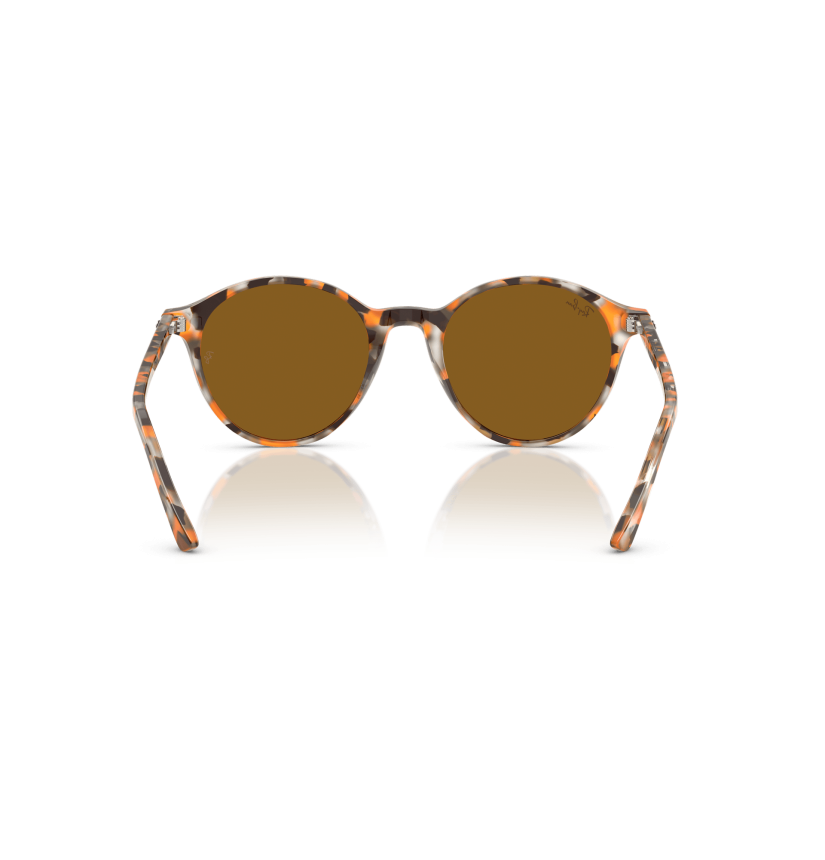RAY-BAN - BERNARD - RB2230 - 135733 - 53